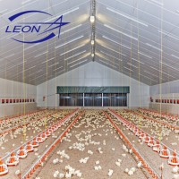 Leon Series fully  Automatic complete chicken broiler and layer farming poultry equipment