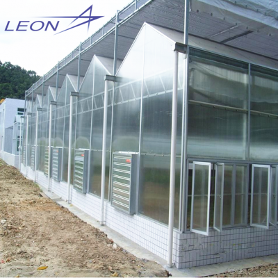 LEON series 2016 Best-Selling garden agricultural greenhouse/sun room/ film greenhouse