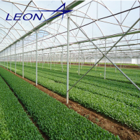 LEON Series Agriculture Greenhouse