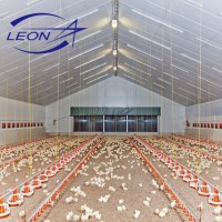 Fully automatic poultry broiler equipment with CE certificate