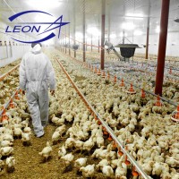 Leon series complete automatic poultry farm equipment for broilers and breeders