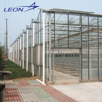 Leon series low cost plastic flim greenhouse for vegetable and flower