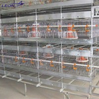 Leon series chicken farm cage feeding equipment