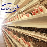 Leon series poultry cage A tyoe battery cage for egg layer