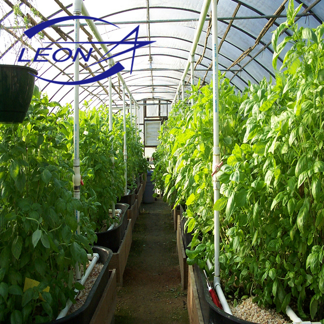 Leon series agriculture greenhouse equipment