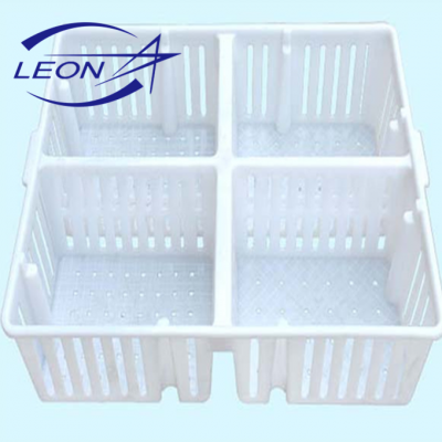 Leon series Low cost plastic transport crate/cage for chicken transport