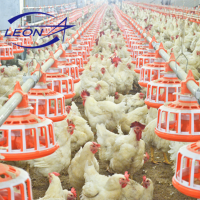 Leon used poultry equipment for broiler and breeder chicken farm