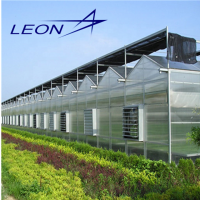 Leon series best selling agricultural multi span plastic film and  polycarbonate greenhouse