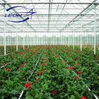 Leon series glass greenhouse equipment