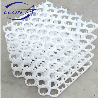 Leon top quality 42-cell egg try manufacturing